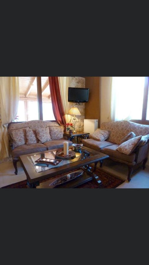 Aetoma Suites Synikia Mesi Trikalon Exteriér fotografie