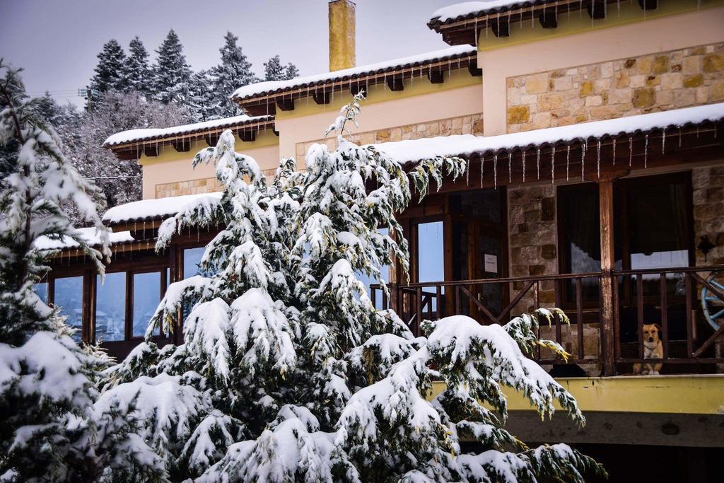 Aetoma Suites Synikia Mesi Trikalon Exteriér fotografie