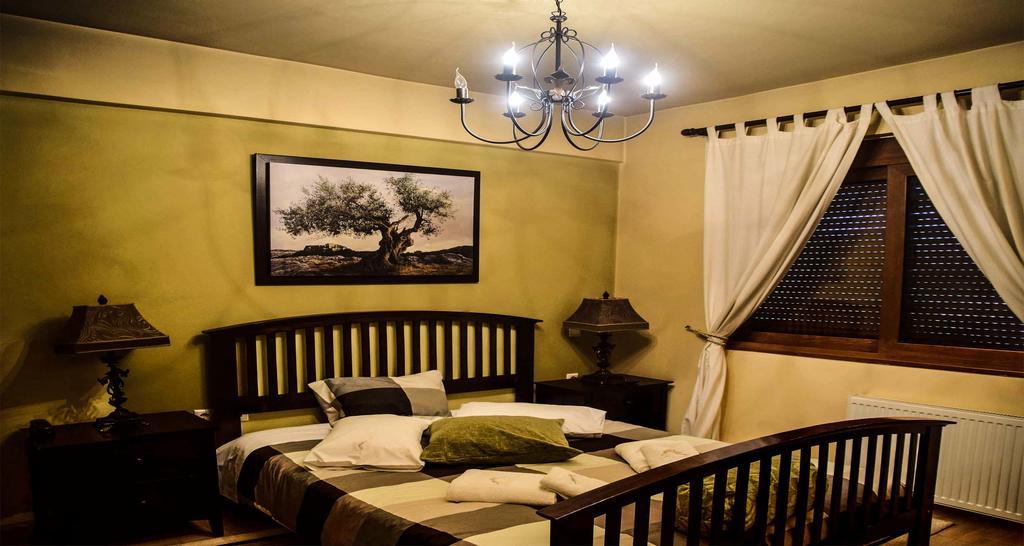 Aetoma Suites Synikia Mesi Trikalon Exteriér fotografie